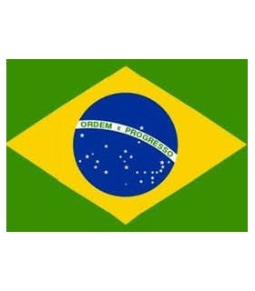 Steag Brazilia
