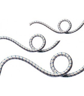 Saula elastica