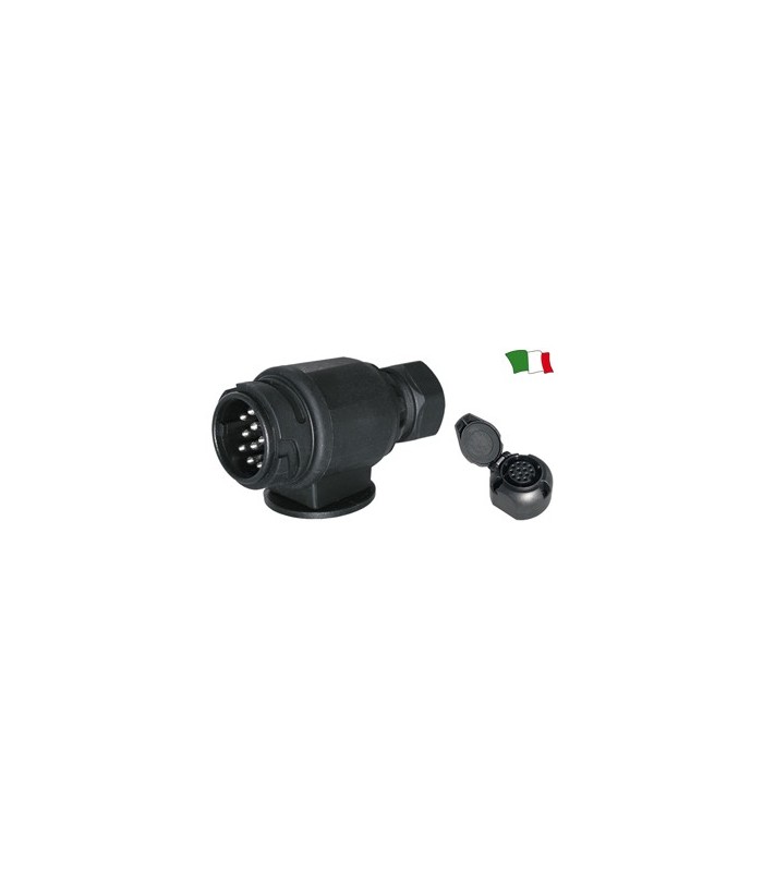 Fisa 13 pini