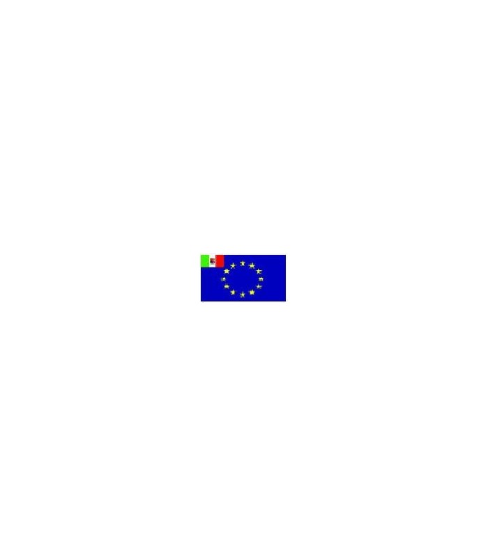 Steag al Comunitatii Europene
